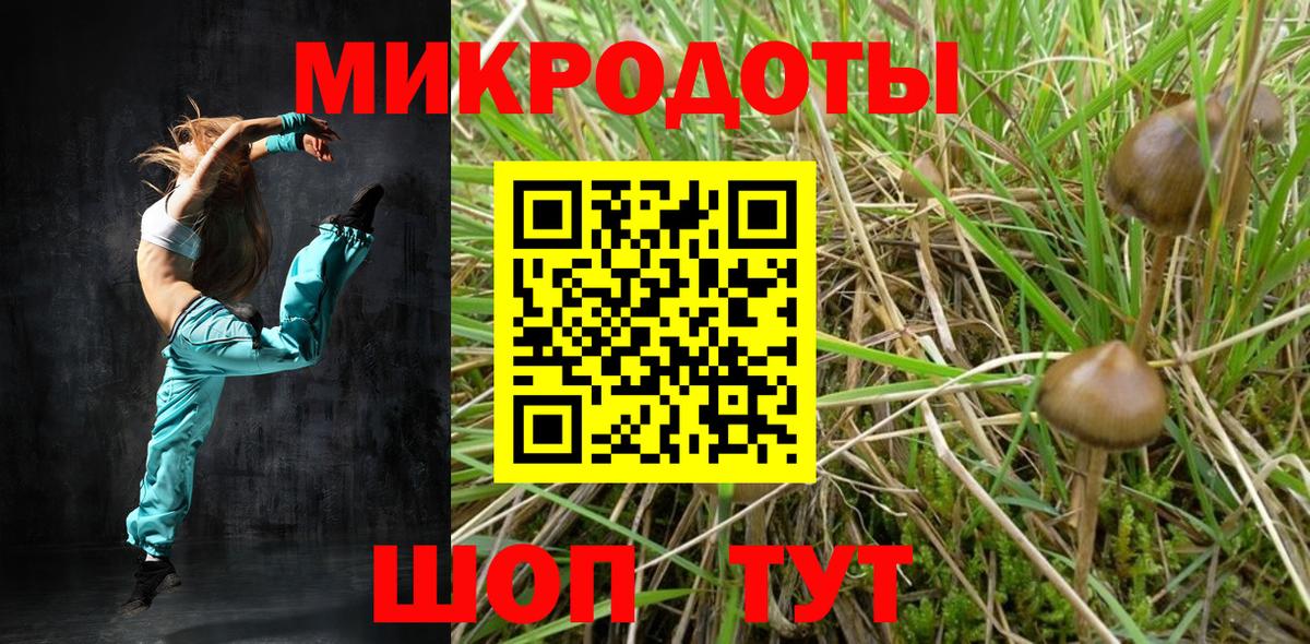 Псилоцибиновые грибы мицелий Кемерово